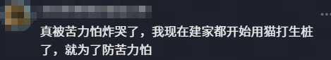 这样的霍达尔，球迷从此不再看好！